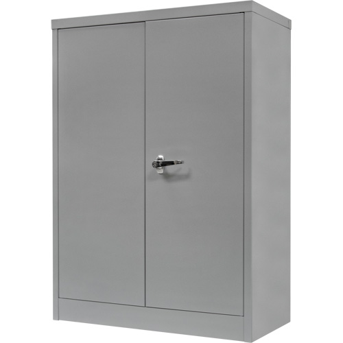 Counter-High Storage Cabinet, Steel, 2 Shelves, 42" H x 48" W x 24" D, Grey PB Rental Co. Ltd.