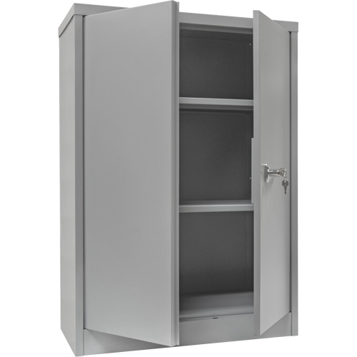 Counter-High Storage Cabinet, Steel, 2 Shelves, 42" H x 48" W x 24" D, Grey PB Rental Co. Ltd.