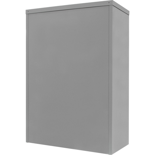 Counter-High Storage Cabinet, Steel, 2 Shelves, 42" H x 48" W x 24" D, Grey PB Rental Co. Ltd.