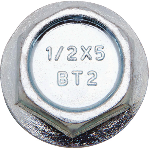 Wedge Bolts, Carbon Steel, 1/2" x 5" PB Rental Co. Ltd.