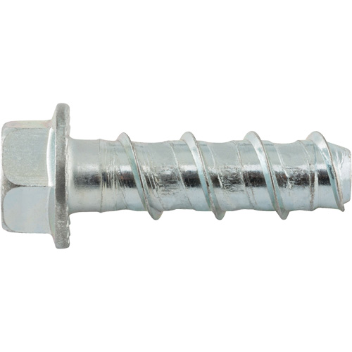 Wedge Bolts, Carbon Steel, 1/2" x 2" PB Rental Co. Ltd.