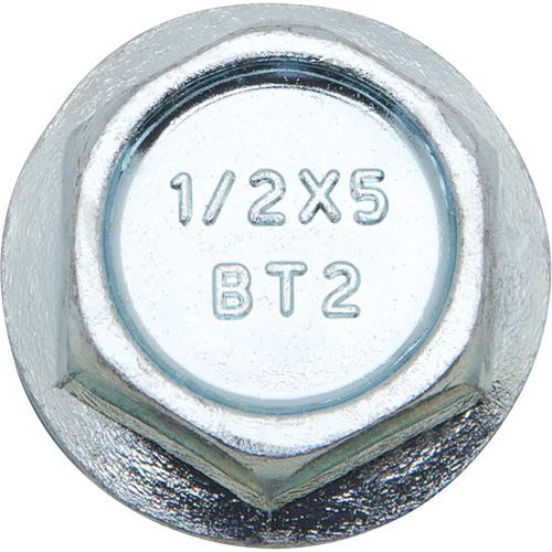 Wedge Bolts, Carbon Steel, 1/2" x 2" PB Rental Co. Ltd.