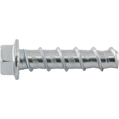 Wedge Bolts, Carbon Steel, 1/2" x 2-1/2" PB Rental Co. Ltd.