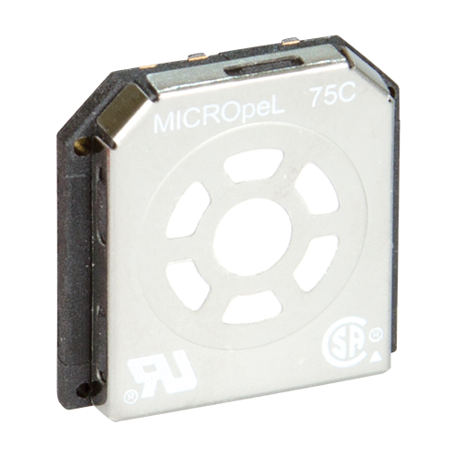 Capteurs de rechange BW PB Rental Co. Ltd.