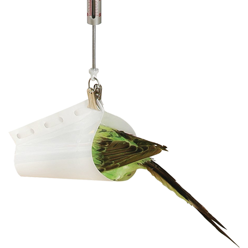Accessoire pour balance &agrave; ressort Micro - entonnoir &agrave; peser les oiseaux  PB Rental Co. Ltd.