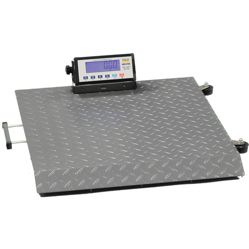 Mobile Platform Scale, 660 lbs. / 300 kg Capacity, 30" L x 30" W PB Rental Co. Ltd.