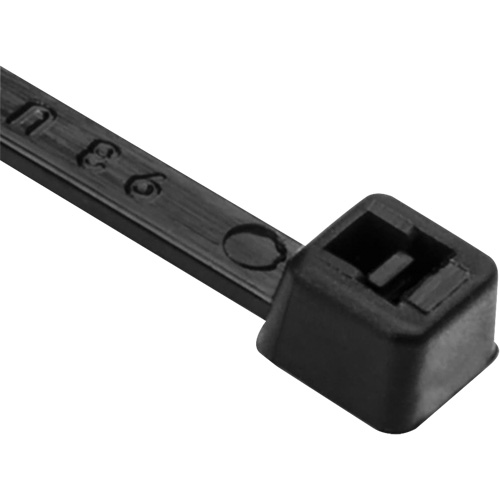 PA66 Cable Ties, 8" Long, 50 lbs. Tensile Strength, Black PB Rental Co. Ltd.