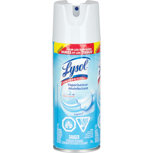 Disinfectant Spray, 350 g, Aerosol Can PB Rental Co. Ltd.