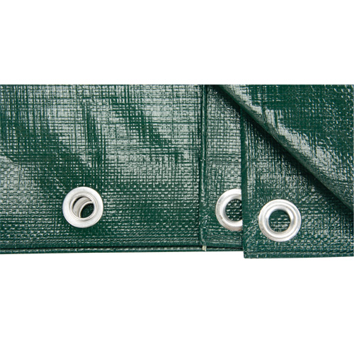 Tarp, Heavy-Duty, Green, 10' x 8' x 9 mils PB Rental Co. Ltd.