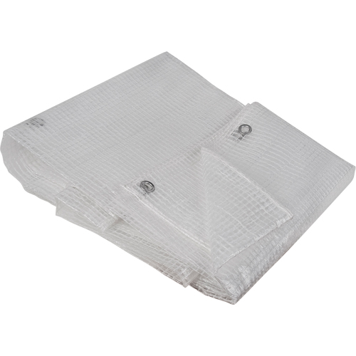 Clear Tarp, 12' x 10' x 8 mils PB Rental Co. Ltd.