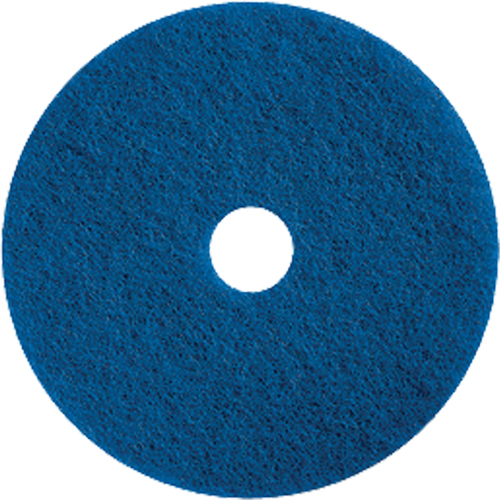 Tampons pour l'entretien des planchers, 15", Nettoyage/&agrave; r&eacute;curer, Bleu PB Rental Co. Ltd.