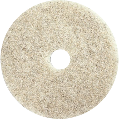 Tampons pour l'entretien des planchers, 21", Brunissage, Brun PB Rental Co. Ltd.