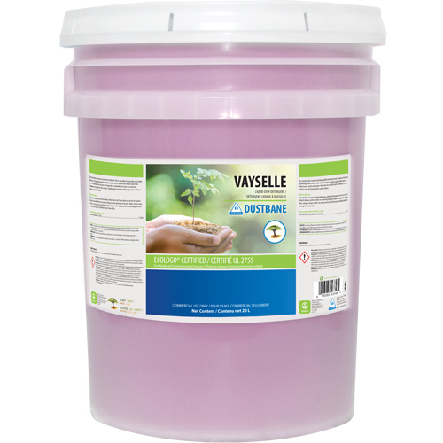 Vayselle Dish Detergent, Liquid, 20 L, Citrus PB Rental Co. Ltd.