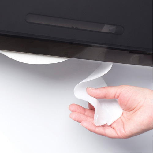 Cored JRT Combo Unit Toilet Paper Dispenser, Multiple Roll Capacity PB Rental Co. Ltd.