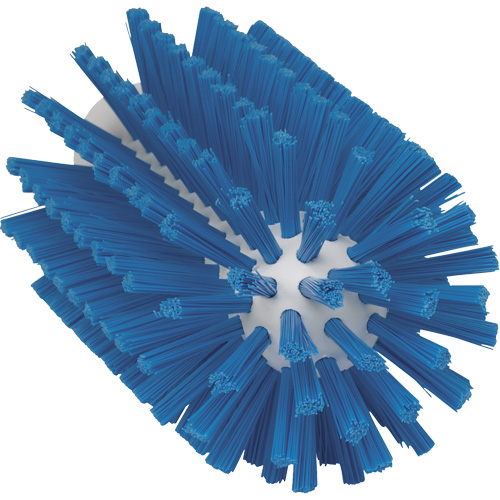 Brosse pour l'hygi&egrave;ne des aliments, Soies Moyen, Longueur de 6", Bleu PB Rental Co. Ltd.