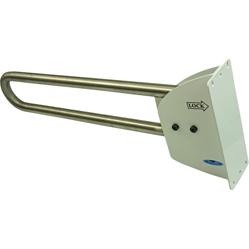 Swing-Up Safety Rail PB Rental Co. Ltd.