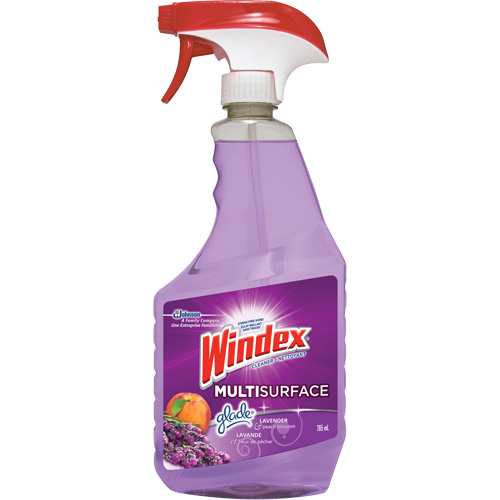 Nettoyant multi-surfaces de Windex, 765 ml, Bouteille &agrave; g&acirc;chette PB Rental Co. Ltd.