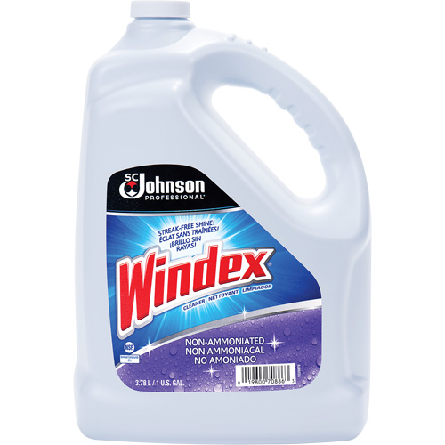 Nettoyant multi-surface non ammoniac&eacute; de Windex, 3,8 L, Cruche PB Rental Co. Ltd.