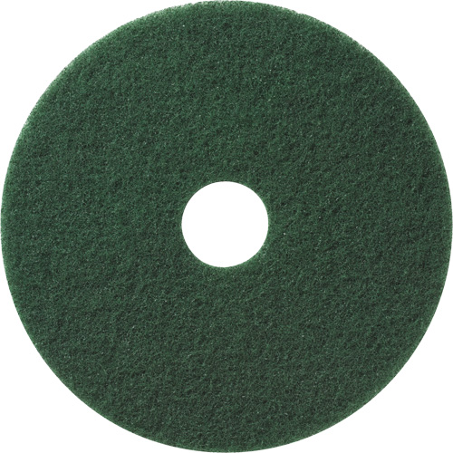 Tampons &agrave; r&eacute;curer pour planchers, 12", &agrave; r&eacute;curer/D&eacute;capant, Vert PB Rental Co. Ltd.