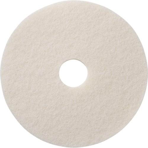 Tampons &agrave; polir pour planchers, 12", Polissage, Blanc PB Rental Co. Ltd.