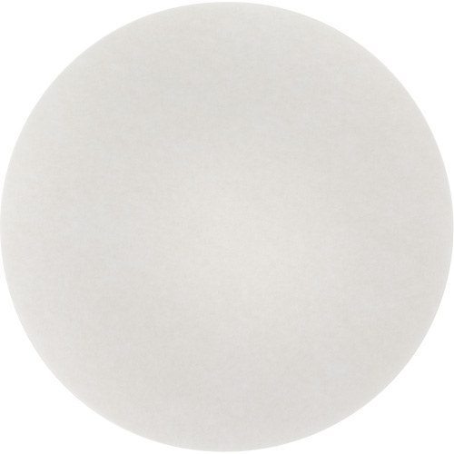 Tampon de nettoyage pour tapis, 19", Nettoyage, Blanc PB Rental Co. Ltd.