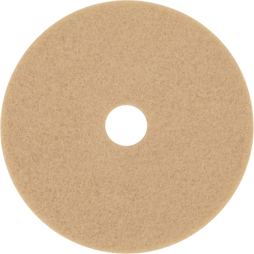Trizact Diamond TZ Abrasive Strip, 20", Burnishing, Beige PB Rental Co. Ltd.