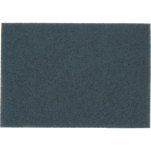 Tampon pour planchers, 14" x 20", Nettoyage/&agrave; r&eacute;curer, Bleu PB Rental Co. Ltd.