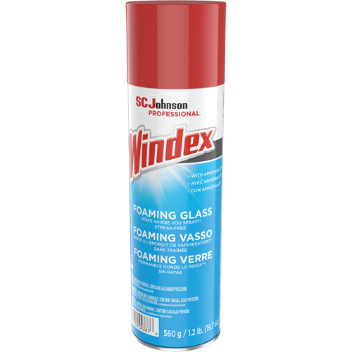 Nettoyant moussant pour vitres Windex, 560 g, Canette a&eacute;rosol PB Rental Co. Ltd.