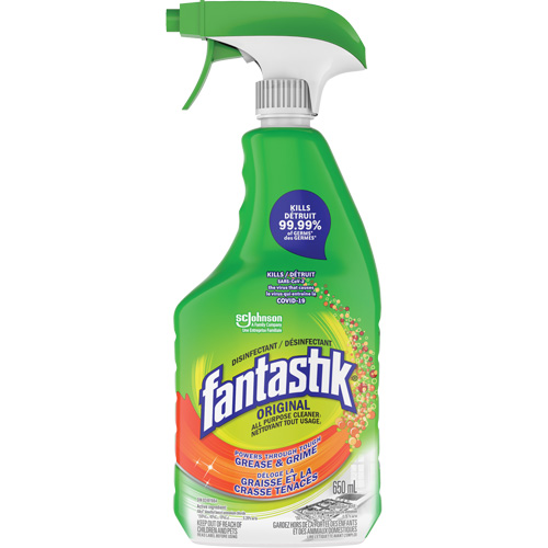 D&eacute;sinfectant nettoyant polyvalent Fantastik, 650 ml, Bouteille &agrave; g&acirc;chette PB Rental Co. Ltd.