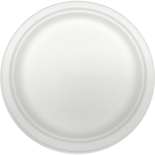 Molded Fiber Disposable Plates PB Rental Co. Ltd.