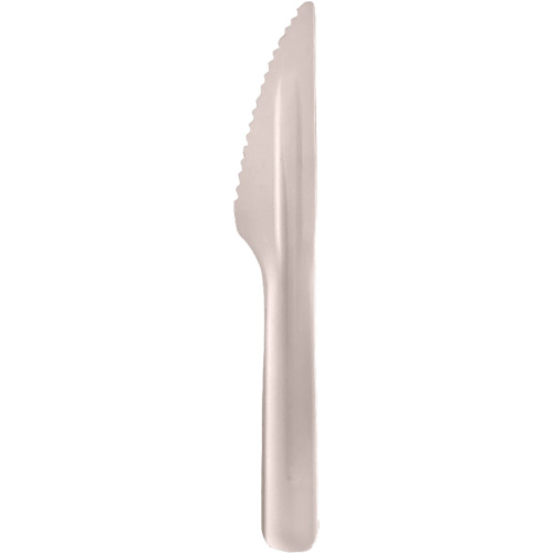 Bagasse Compostable Knives PB Rental Co. Ltd.
