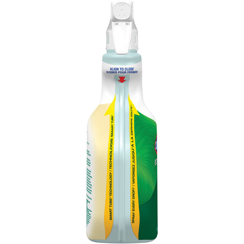 Nettoyant tout usage CloroxPro Clorox EcoClean, 946 ml, Bouteille &agrave; g&acirc;chette PB Rental Co. Ltd.