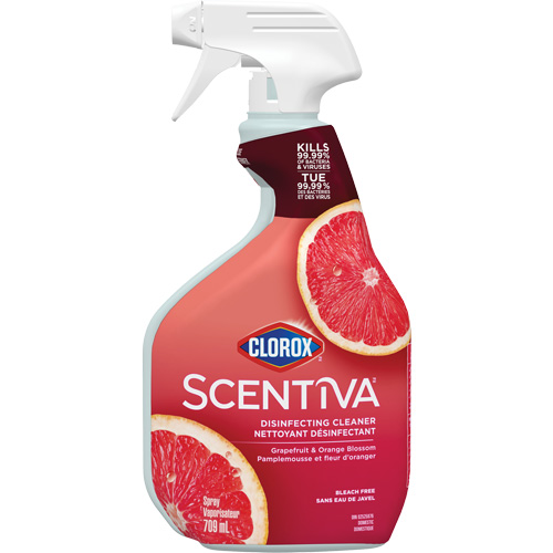 Vaporisateur nettoyant d&eacute;sinfectant multi-surfaces, 709 ml, Bouteille &agrave; g&acirc;chette PB Rental Co. Ltd.