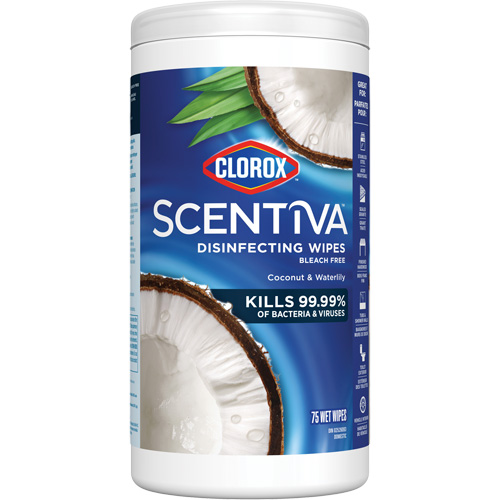 Lingettes d&eacute;sinfectantes, 75 lingettes PB Rental Co. Ltd.