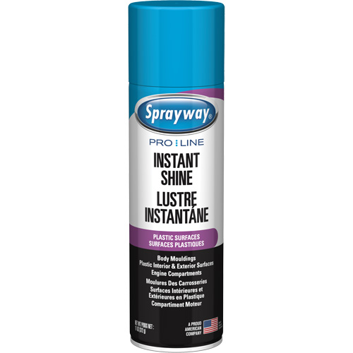 Brillant instantan&eacute; Pro Line pour surfaces en plastique, 11 oz, Canette a&eacute;rosol PB Rental Co. Ltd.