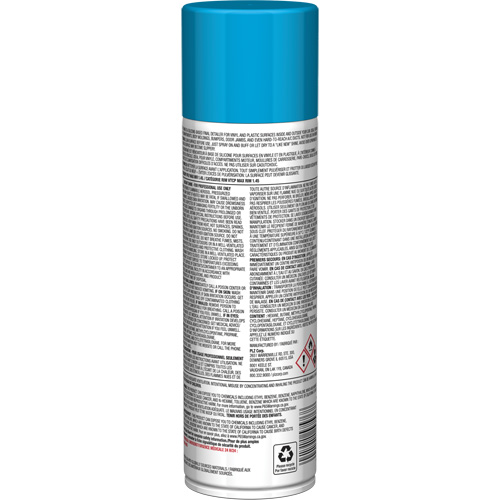 Brillant instantan&eacute; Pro Line pour surfaces en plastique, 11 oz, Canette a&eacute;rosol PB Rental Co. Ltd.