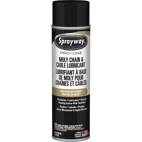 Lubrifiant au molybd&egrave;ne Pro Line pour chaînes et c&acirc;bles, Canette a&eacute;rosol PB Rental Co. Ltd.