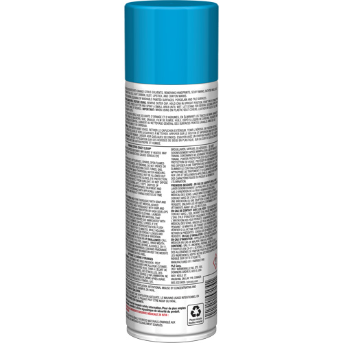 Pro Line Crazy Clean&reg; All Purpose Cleaner, 19 oz., Aerosol Can PB Rental Co. Ltd.