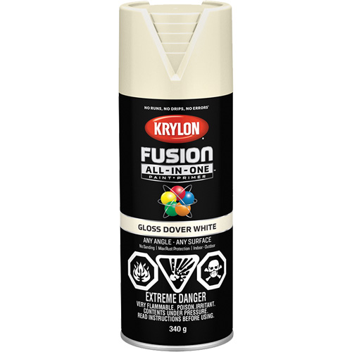 Fusion All-In-One Spray Paint, Dover White, Gloss, 12 oz., Aerosol Can PB Rental Co. Ltd.