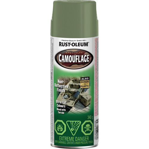 Specialty Camouflage Paint, Aerosol Can, Earth Brown PB Rental Co. Ltd.