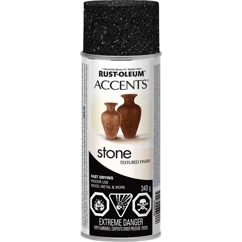 Accents&reg; Stone Creations Spray Paint, Aerosol Can, Black Granite PB Rental Co. Ltd.