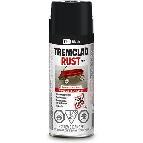 Peinture antirouille &agrave; base dhuile Tremclad, Noir, Tr&egrave;s mat, Canette a&eacute;rosol PB Rental Co. Ltd.