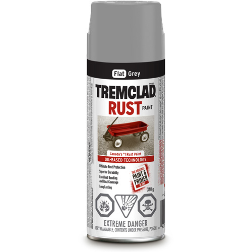 Tremclad&reg; Oil Based Rust Paint, Grey, Very Flat, Aerosol Can PB Rental Co. Ltd.
