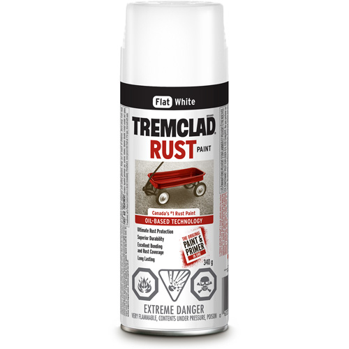 Peinture antirouille &agrave; base dhuile Tremclad, Blanc, Tr&egrave;s mat, Canette a&eacute;rosol PB Rental Co. Ltd.
