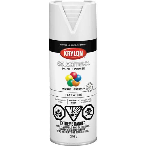 COLORmaxx Paint + Primer, White, Very Flat, 12 oz., Aerosol Can PB Rental Co. Ltd.