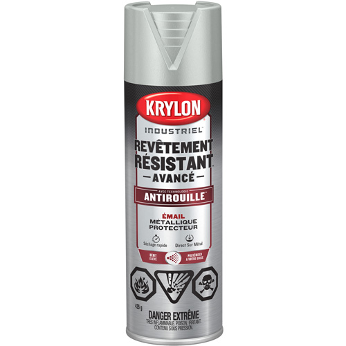 Tough Coat&reg; Advanced Paint with Rust Barrier Technology, Aluminum, Metallic, 425 g, Aerosol Can PB Rental Co. Ltd.