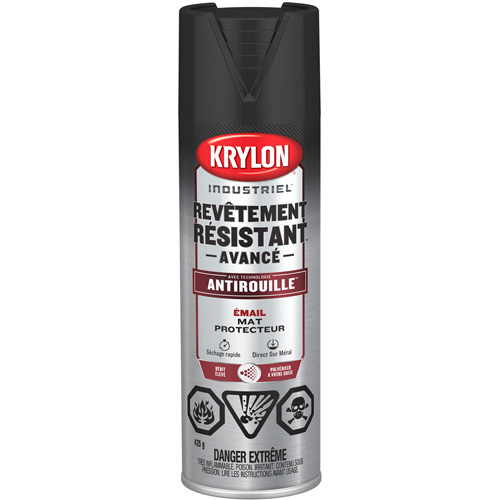 Tough Coat&reg; Advanced Paint with Rust Barrier Technology, Black, Flat, 425 g, Aerosol Can PB Rental Co. Ltd.