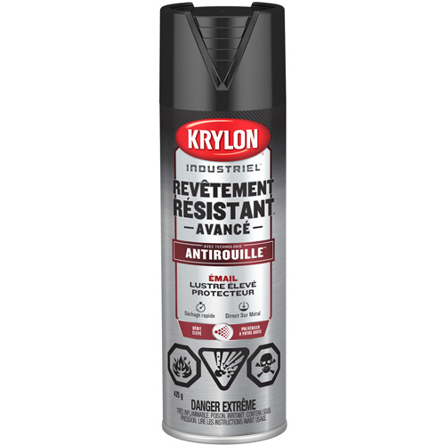 Peinture Tough Coat avec technologie Rust Barrier, Noir, Tr&egrave;s brillant, 425 g, Canette a&eacute;rosol PB Rental Co. Ltd.