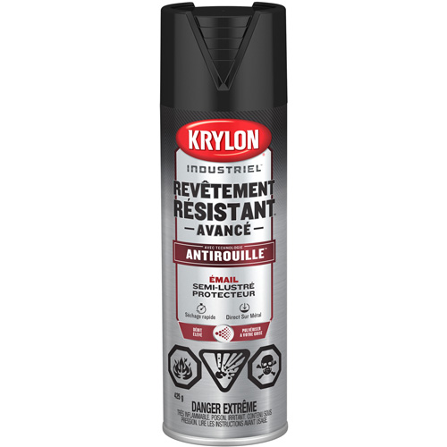 Tough Coat&reg; Advanced Paint with Rust Barrier Technology, Black, Semi-Gloss, 425 g, Aerosol Can PB Rental Co. Ltd.