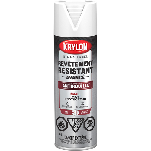 Tough Coat&reg; Advanced Paint with Rust Barrier Technology, White, Flat, 425 g, Aerosol Can PB Rental Co. Ltd.
